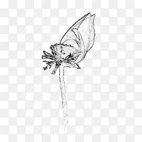 �ֻ��ɫˮ������-������