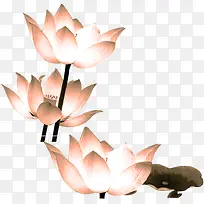 黄色手绘莲花可爱-空若网 黄色手绘莲花可爱-空若网