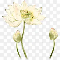 ������ֻ�ˮ������-������