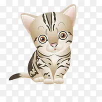 动物小猫-空若网 动物小猫-空若网