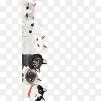 可爱白色小猫手绘-空若网 可爱白色小猫手绘-空若网