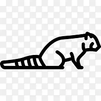 红熊猫图标-空若网 红熊猫图标-空若网