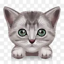 �ֻ�ɰ�Сè��ͼ-������