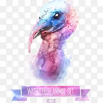 矢量彩绘鹅头-空若网 矢量彩绘鹅头-空若网