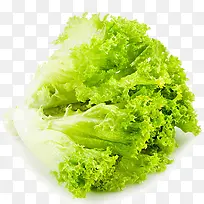 高清绿色清新蔬菜-空若网 高清绿色清新蔬菜-空若网