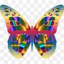 µÛÍõºûµûÀ¥³æ¼ôÌù»-ºûµû-¿ÕÈôÍø µÛÍõºûµûÀ¥³æ¼ôÌù»-ºûµû-¿ÕÈôÍø