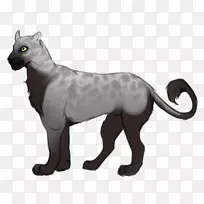 猫陆生动物食肉动物-空若网 猫陆生动物食肉动物-空若网