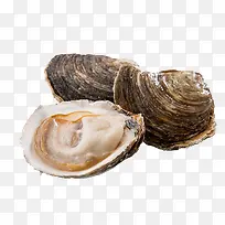 生蚝-空若网 生蚝-空若网