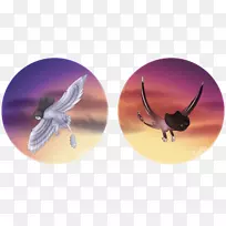 昆虫无脊椎动物生物膜-空若网 昆虫无脊椎动物生物膜-空若网
