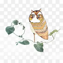 手绘猫头鹰-空若网 手绘猫头鹰-空若网