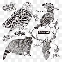 手绘卡通动物-空若网 手绘卡通动物-空若网