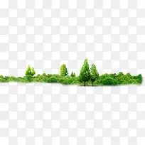 树-空若网 树-空若网