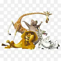 森林的动物-空若网 森林的动物-空若网