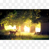 ÉÁÖ±³¾°Í¼-¿ÕÈôÍø ÉÁÖ±³¾°Í¼-¿ÕÈôÍø