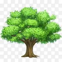 树-空若网 树-空若网