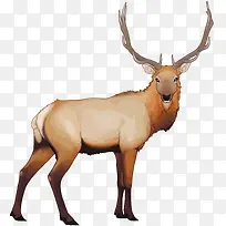 矢量卡通鹿-空若网 矢量卡通鹿-空若网