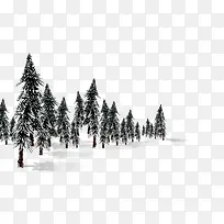 ������Ӱ����ϳ�ɭ��-������