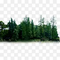 ���崴����ɫɭ����Ӱ-������