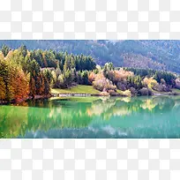 ������Ӱ�羰��ɭ��-������