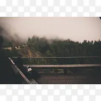 ���廧��ɭ����Ӱ-������