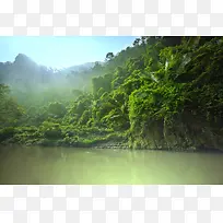 森林树林自然风光摄影图-空若网 森林树林自然风光摄影图-空若网