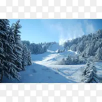 ��Ӱͼ������ɭ��-������