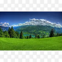 草地森林自然摄影图-空若网 草地森林自然摄影图-空若网