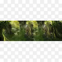 森林背景-空若网 森林背景-空若网