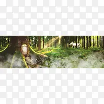 ɭ��-������