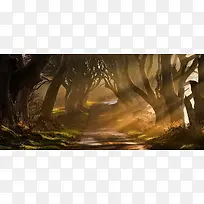 森林背景-空若网 森林背景-空若网