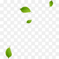 飘落的绿叶淘宝促销-空若网 飘落的绿叶淘宝促销-空若网