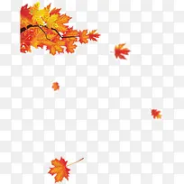 Æ®ÂäµÄ»ÆÉ«·ãÒ¶Ê÷Ö¦ÇïÌì-¿ÕÈôÍø Æ®ÂäµÄ»ÆÉ«·ãÒ¶Ê÷Ö¦ÇïÌì-¿ÕÈôÍø