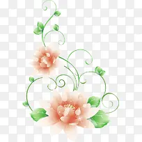 橙色清新花藤装饰图案-空若网 橙色清新花藤装饰图案-空若网