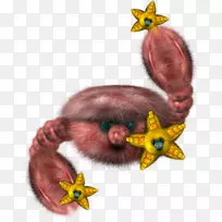 天蝎座星座双子座天秤座-癌症-空若网 天蝎座星座双子座天秤座-癌症-空若网