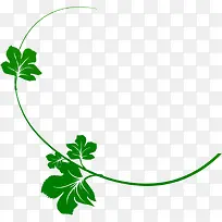 绿色时尚清爽春天花藤-空若网 绿色时尚清爽春天花藤-空若网