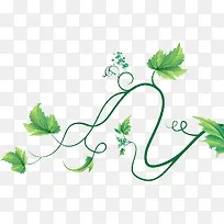 绿色时尚春天花藤-空若网 绿色时尚春天花藤-空若网