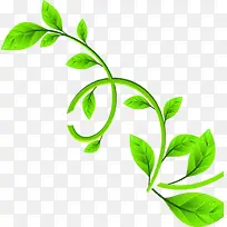 绿色时尚春日花朵花藤-空若网 绿色时尚春日花朵花藤-空若网