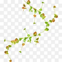 春天美景树枝花藤-空若网 春天美景树枝花藤-空若网