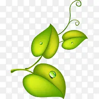 绿色花藤插画展板-空若网 绿色花藤插画展板-空若网