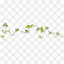 摄影海报绿藤效果-空若网 摄影海报绿藤效果-空若网