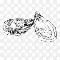 手绘生蚝-空若网 手绘生蚝-空若网