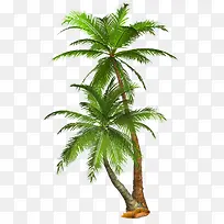 ���������ز�-������