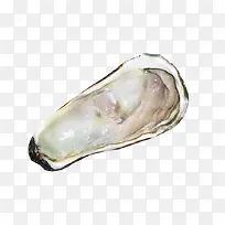 ���ʱ��������-������