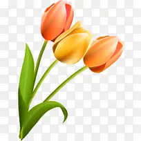 �������л�������ֲ��ٺϿ�-������-������