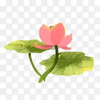 �ֻ�ˮ�ʻ��ܿ�ͨ-������