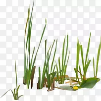 ������������«έ��-������