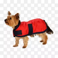 狗帽衫,外套,衣服-狗-空若网 狗帽衫,外套,衣服-狗-空若网