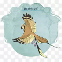 食肉鸟,喙,羽毛,翅膀-杰伊-空若网 食肉鸟,喙,羽毛,翅膀-杰伊-空若网