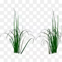 ÉãÓ°µçÄÔͼ±êÏÂÔØ¼ôÌù»-¿ÕÈôÍø ÉãÓ°µçÄÔͼ±êÏÂÔØ¼ôÌù»-¿ÕÈôÍø