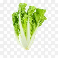 白菜青菜蔬菜-空若网 白菜青菜蔬菜-空若网